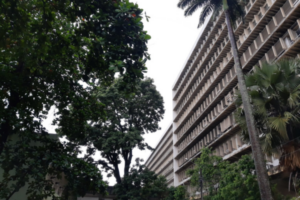 Estudo do HC mostra eficácia de curativo produzido a partir da cana-de-açúcar