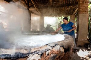 Circuito Fenearte: exposição “Casa de Farinha – Mandioca, o Pão da Terra”, estreia nesta quinta