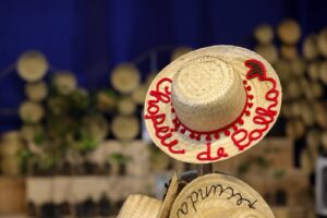 Governo de Pernambuco inicia pagamento do Chapéu de Palha para canavieiros