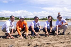 Prefeitura de Olinda e Governo do Estado iniciam plantio de 10 mil mudas em manguezais