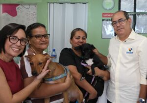 Jaboatão faz mutirão de castração em cães e gatos ampliando cuidado com animais